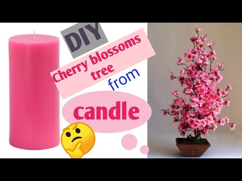 Vidéo cherry decorations for home