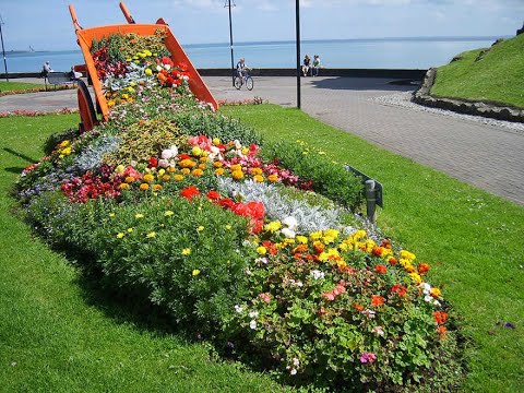 Vidéo modele de decoration de jardin exterieur