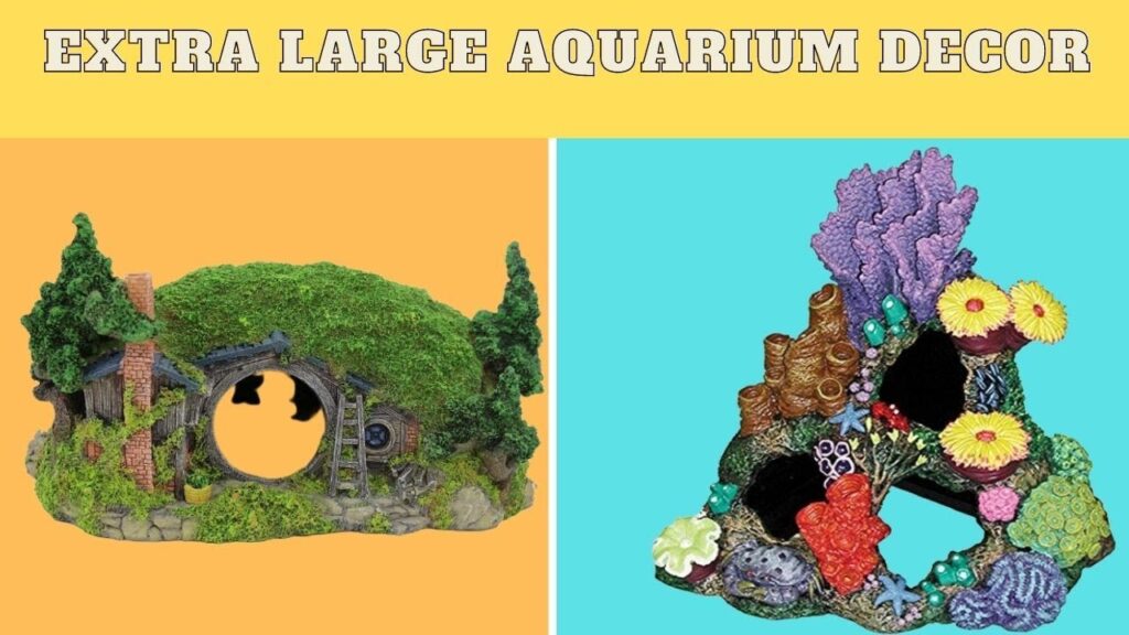 Vidéo extra large aquarium decorations