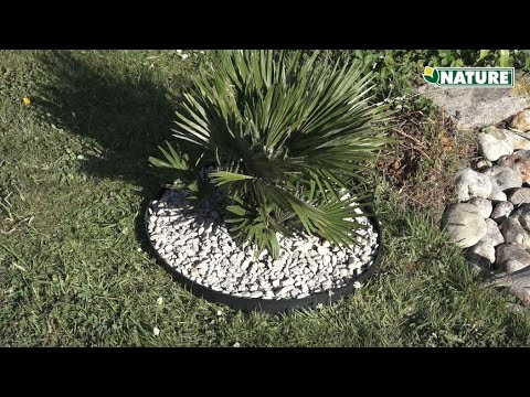 Vidéo decoration gazon jardin