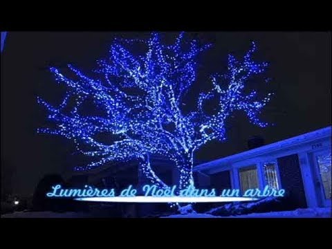 Vidéo decoration pour arbre exterieur