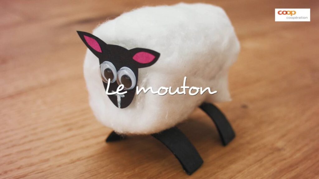 Vidéo mouton decoration maison