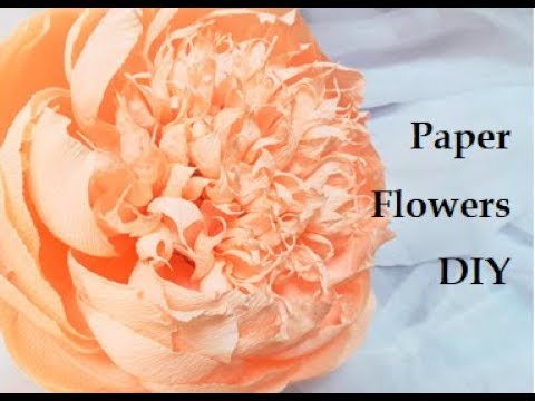 Vidéo peony wedding decorations