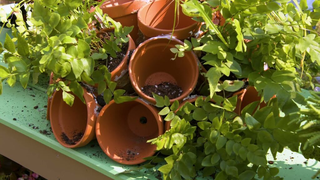 Vidéo garden decoration pot