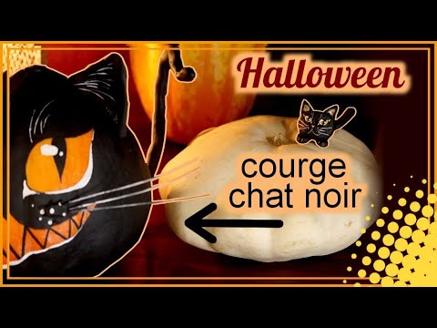 Vidéo decoration citrouille chat