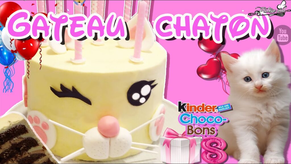 Vidéo decoration chat anniversaire