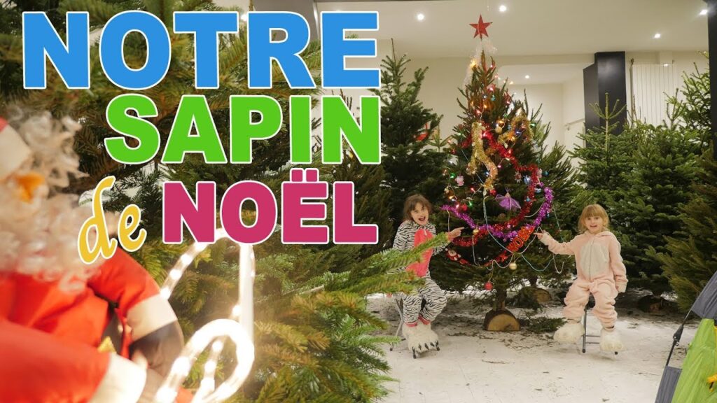 Vidéo decoration de sapin de noel 2017