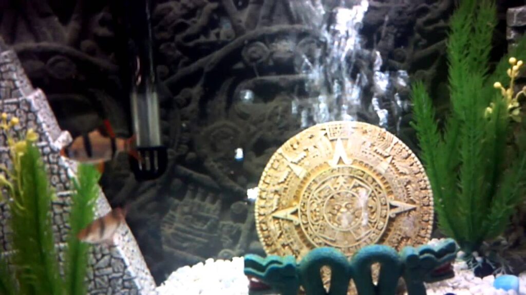 Vidéo aztec aquarium decorations