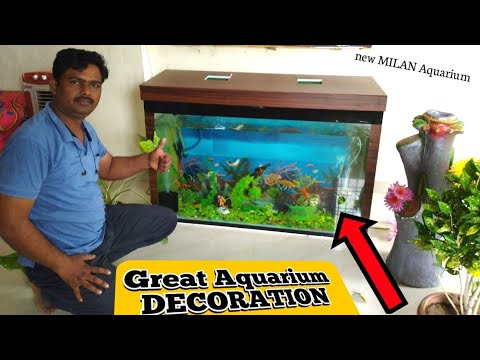 Vidéo large aquarium decorations