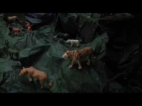 Vidéo jungle book decorations