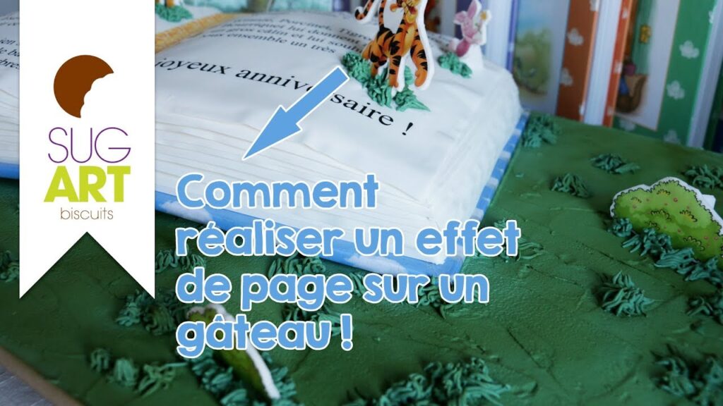 Vidéo livre decoration gateau