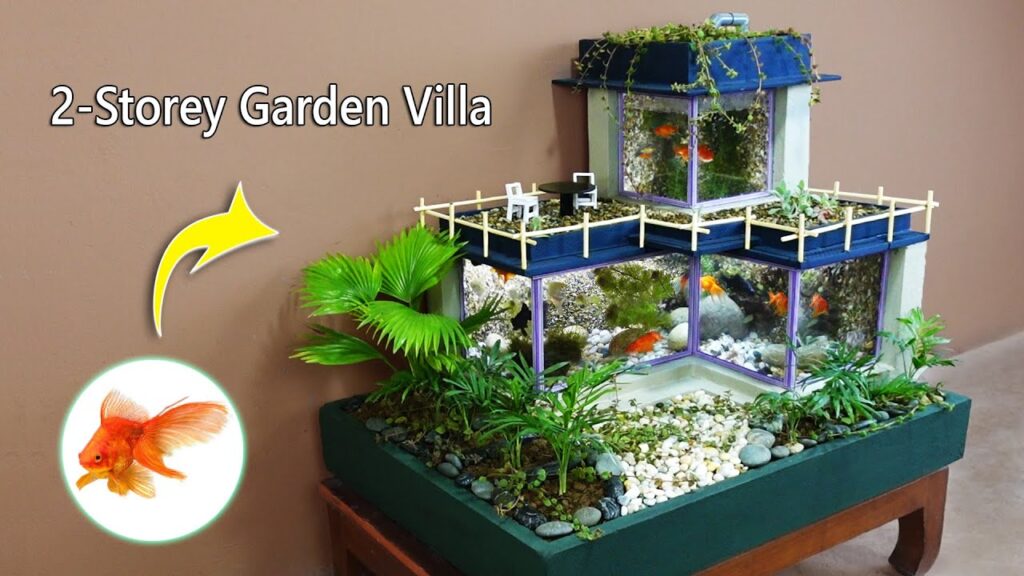 Vidéo aquarium decorations