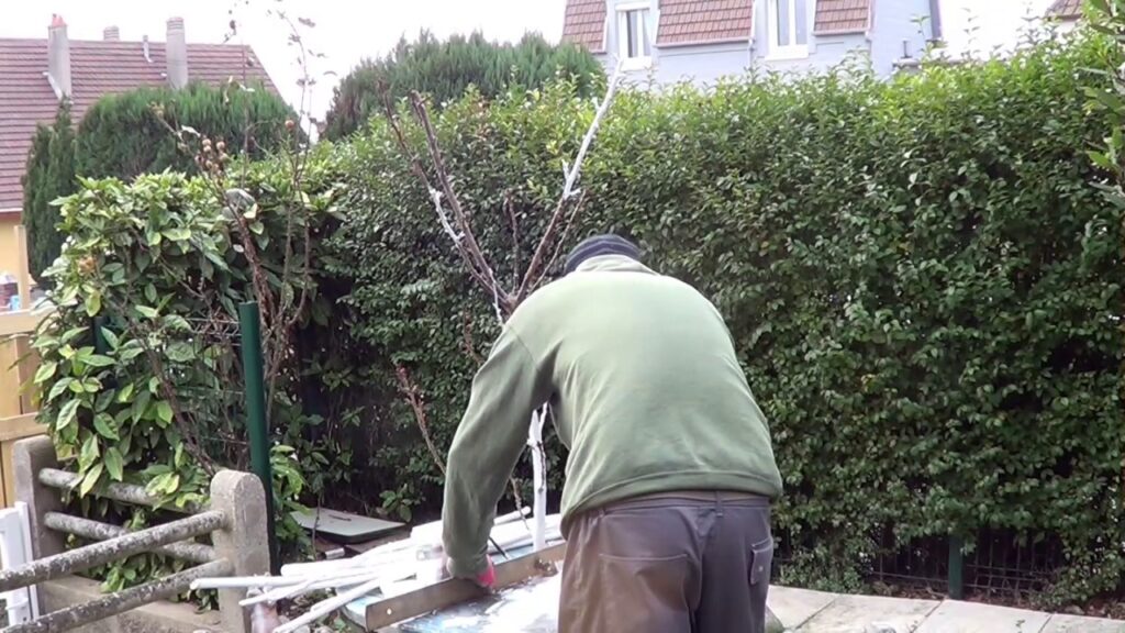 Vidéo decoration de noel avec des branches de bouleau